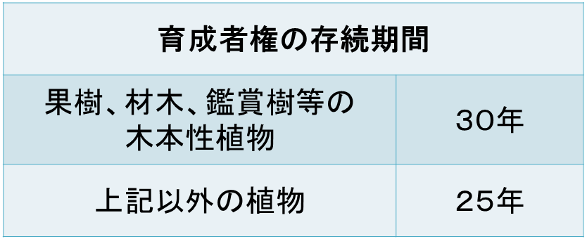 知っていますか 種苗法 品種登録制度と育成者権 行政情報 アグリくまもと